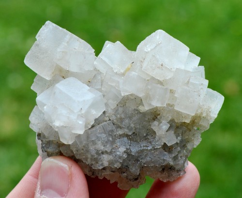 Halite 134 grammes - ,