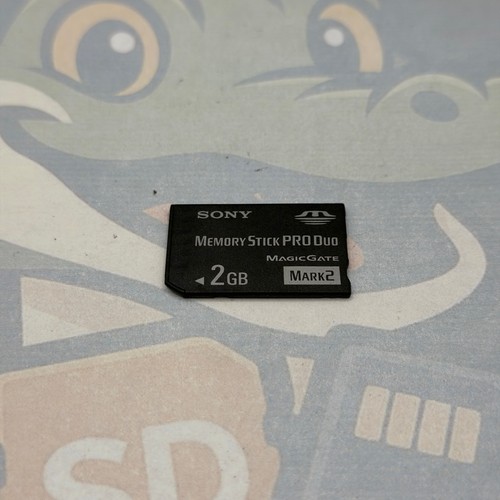 2gb sony memory stick - sony, pro