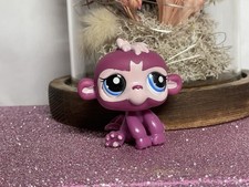 🌸Petshop singe Capucin