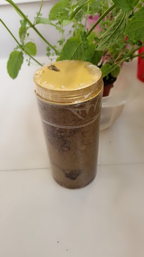 Crème naturelle pour grossir