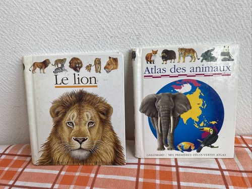 Livres enfant lion - 2,