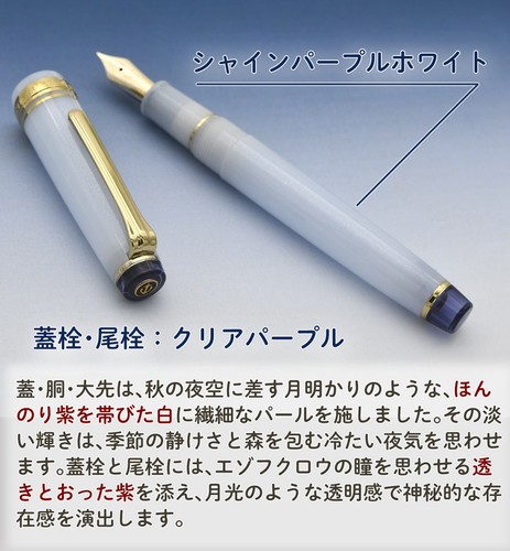 Stylo plume sailor pro - stylo,