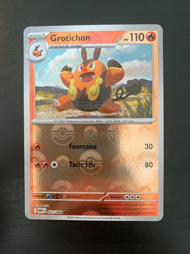 Carte pokémon reverse - pokémon,