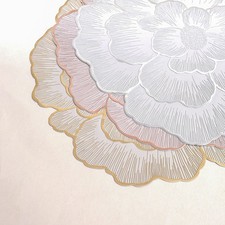 Lot de 6 tapis de table PVC