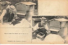 MONTFAVET  - Abeille - Mise en ruche d'un Essaim par le trou de vol