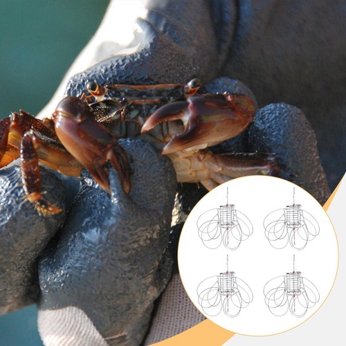 Piège crabes cylindrique 4 - crabes,