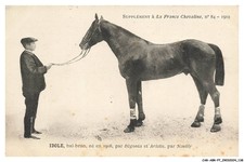 CAR-ABRP7-0650-HIPPISME - IDOLE - Bai-brun né en 1908 - Par bégonia et arlet