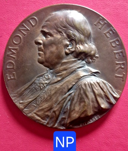 Belle méd bronze - belle,