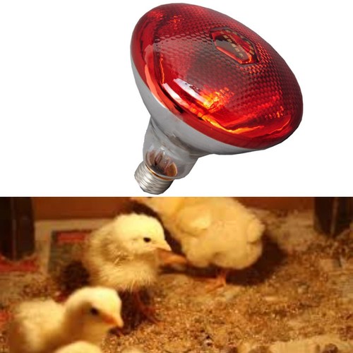 Lampe chauffante rouge