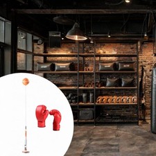 Boule de boxe BALN PUCH