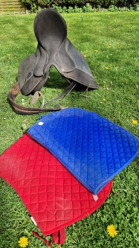Selle cheval sigma - selle, de