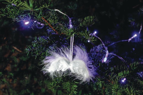 Lot ailes ange en plume - 3,
