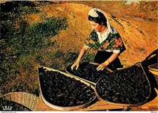 Folklore - Costumes - Lot et Garonne - Agenaise en costume folklorique - Le Tria