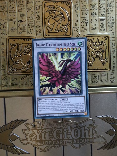 Dragon clair de - !,