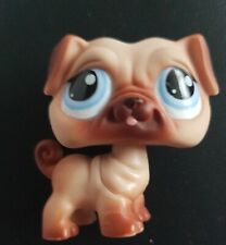 Littlest Pet Shop Carlin Dog mignon marron #1312 yeux bleus chiot LPS