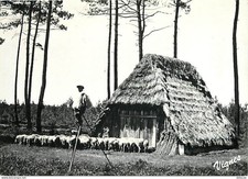 Carte Postale - 40 - Landes -