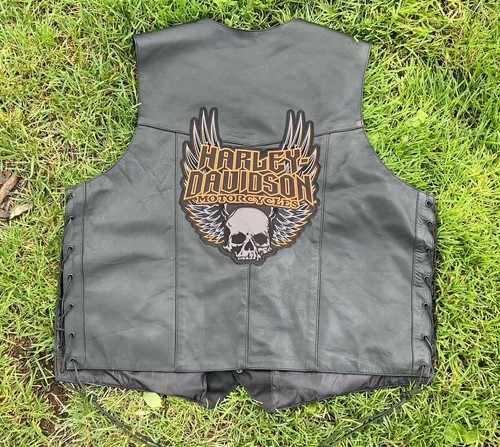 Harley davidson men winged - davidson, men’s