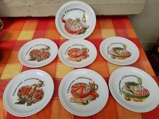 Service En Porcelaine À Choucroute FD Chauvigny 6 Assiettes+ Plat Rond Creux