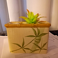 Pte Brosses dent, Succulentes, Bougies, Table, Décoration, Bain, Chambre...