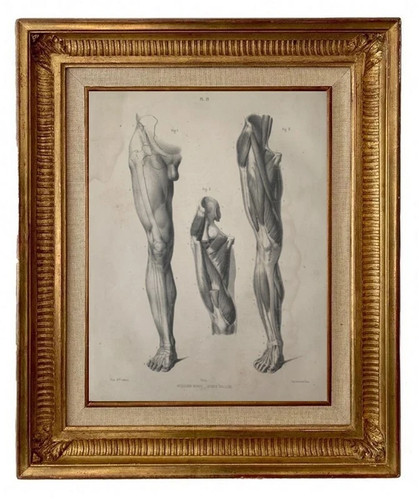 Gravure lithographie xix - gravure, xix°