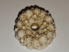 King's Crown Bean - Picard