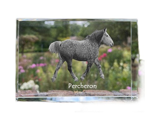 Percheron cristal avec einem - avec,