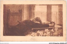 AJVP1-0039 - EXPOSITION - E-LONGONI - SOLA