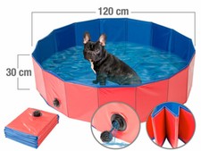 Piscine pliable pour chiens