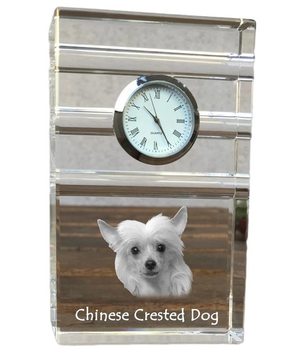 Chien chinois crête - chien, à