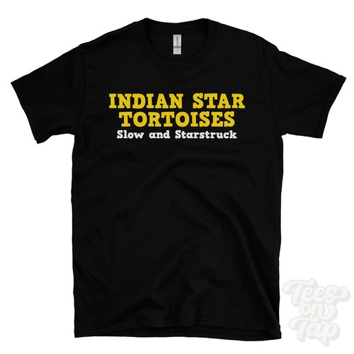 Indian star tortoises slow and - tortoises,