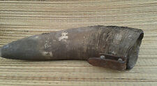 Ancienne corne de boeuf coffin art populaire, déco montagne  french antique
