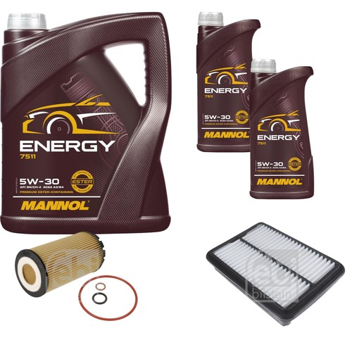 Inspection set 30 - l, 5w-30