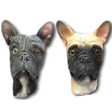 French Bulldog Masque Complet Tête de Luxe Latex Chien Animal Fantaisie Costume