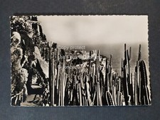 JARDIN EXOTIQUE DE MONACO