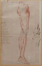 dessin ancien corps humain