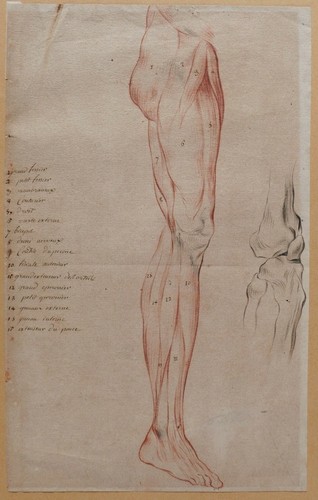 Dessin ancien corps - dessin,