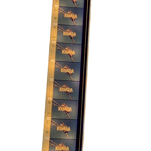 Film 16mm koala - 16mm, par
