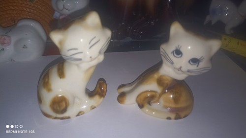 Lot deux petits chats - deux,