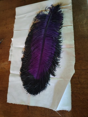 Anciennes plumes autruches - plumes, d'autruches