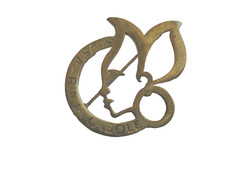 RARE ANCIEN INSIGNE MARINE NATIONALE SOUS MARIN SNLE / SNA LA CREOLE ETAT SUP