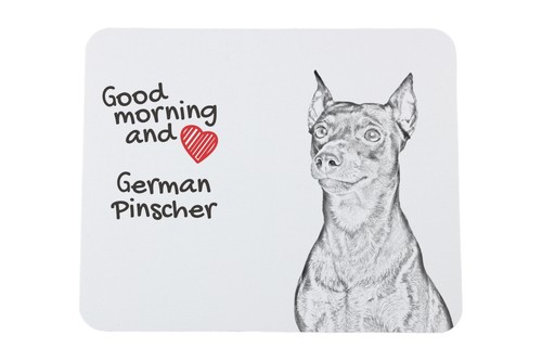 Pinscher allemand sous main - pinscher,