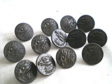 12 ANCIENS BOUTONS DE CHASSE VENERIE TETE DE RAPACE PETIT MODELE (17)