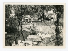 PHOTO SNAPSHOT amateur, Voiture ancienne âne jouet ancien bateau toy