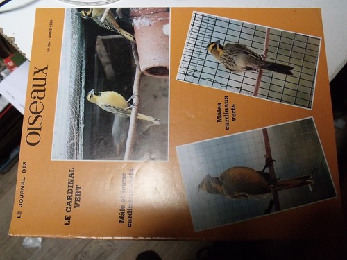 µµ journal des oiseaux - le,