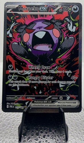 2026 pokemon morpeko - pokemon,