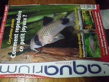 µ? Revue Aquarium à la maison n°70 repro Corydoras Panda Mini bassin jardin