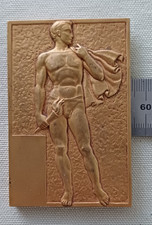 Médaille plaque jeux olympiques porteur de flamme moutereau