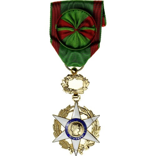 France médaille mérite - france,,