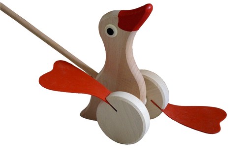 Canard bois pousser - canard,