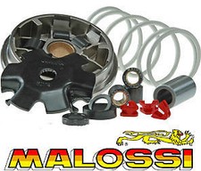 Variateur MALOSSI MULTIVAR